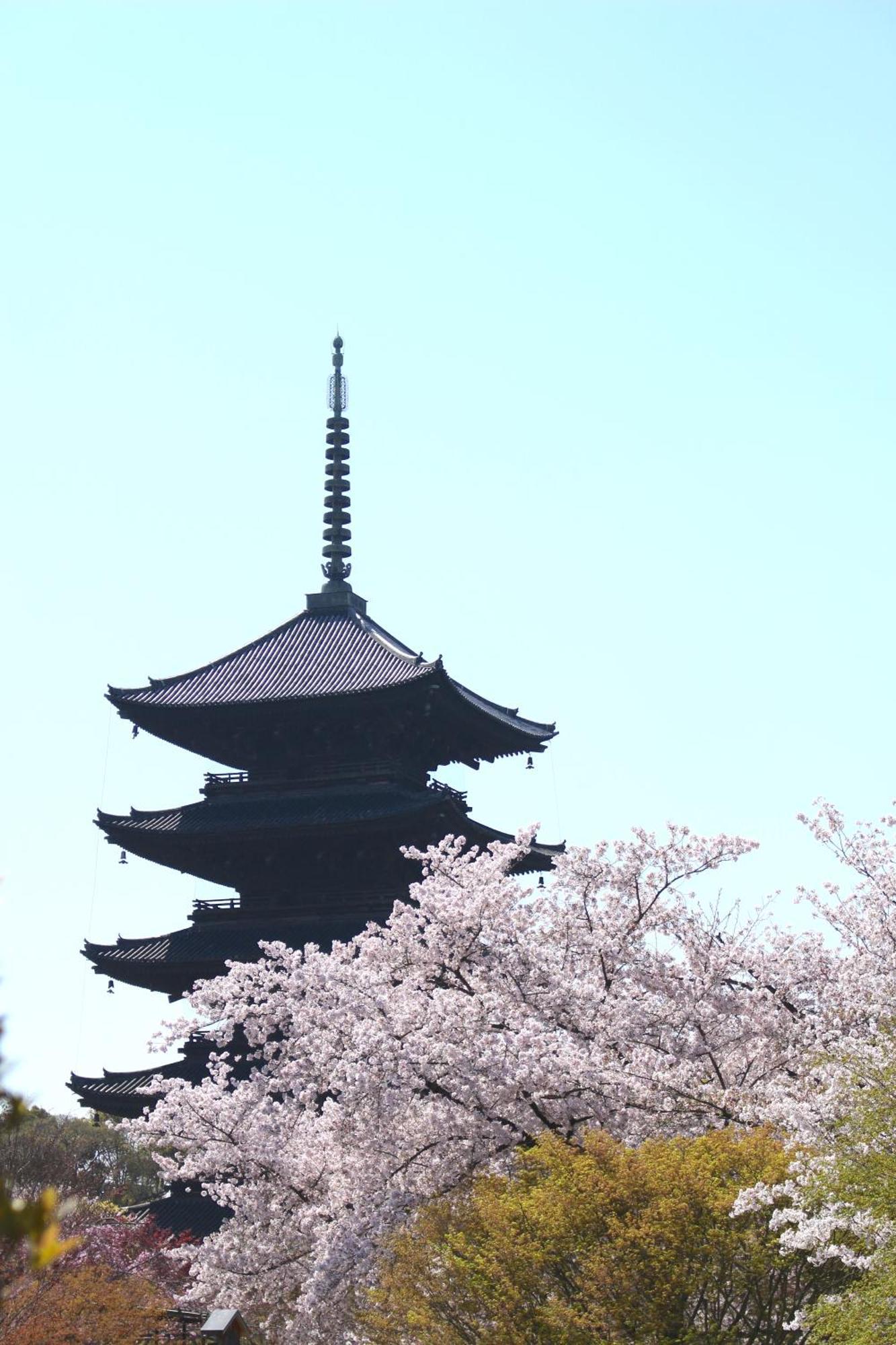 Stay Sakura Kyoto Tsubaki Exterior foto